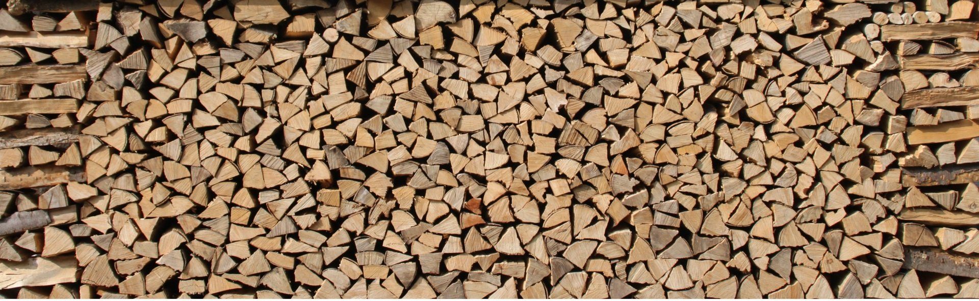 Sam Firewood