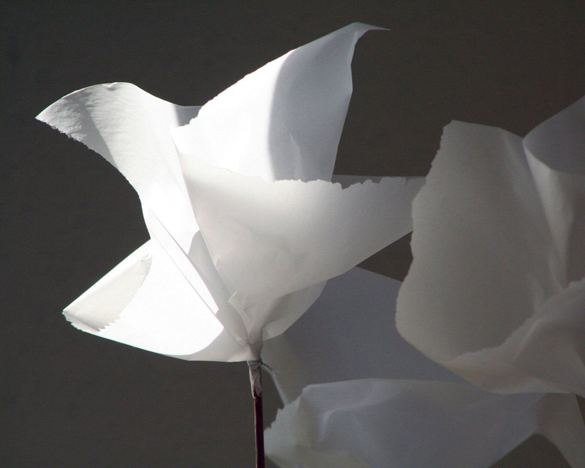 AngelaWilleke 3 - BLÜHENDE-LANDSCHAFT - Installation; Gestik-Mimik; skulpturale Paper.Art; Rautenstock Doberlug; Bildende Kunst; KUNST.HAUS am SEE; Werenzhainer Ziegelei 1; 03253 Doberlug-Kirchhain; Landkreis Elbe-Elster; Lausitz; Brandenburg; Deutschland