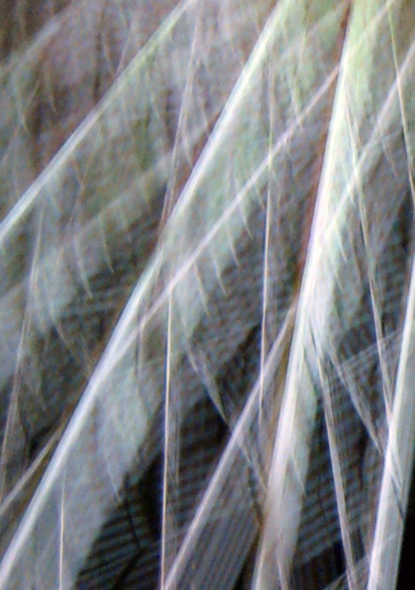 FotoGrafik 2 - IKARUS, LICHT.MALEREI; FotoGrafik, Licht.Malerei; Bildende Kunst; Zeitgenössische Fotografie; KUNST.HAUS am SEE; Werenzhainer Ziegelei 1; 03253 Doberlug-Kirchhain; Landkreis Elbe-Elster; Lausitz; Brandenburg; Deutschland