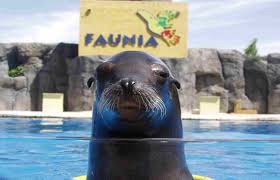 Faunia