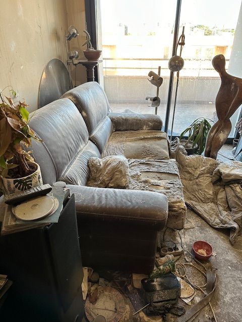 Nettoyage-syndrome-diogène-