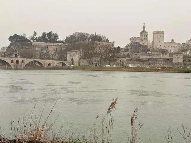 Image-d'un-panorama-de-la-ville-d'avignon-montrant-le-pont-d'avignon-et-le-palai-des-papes