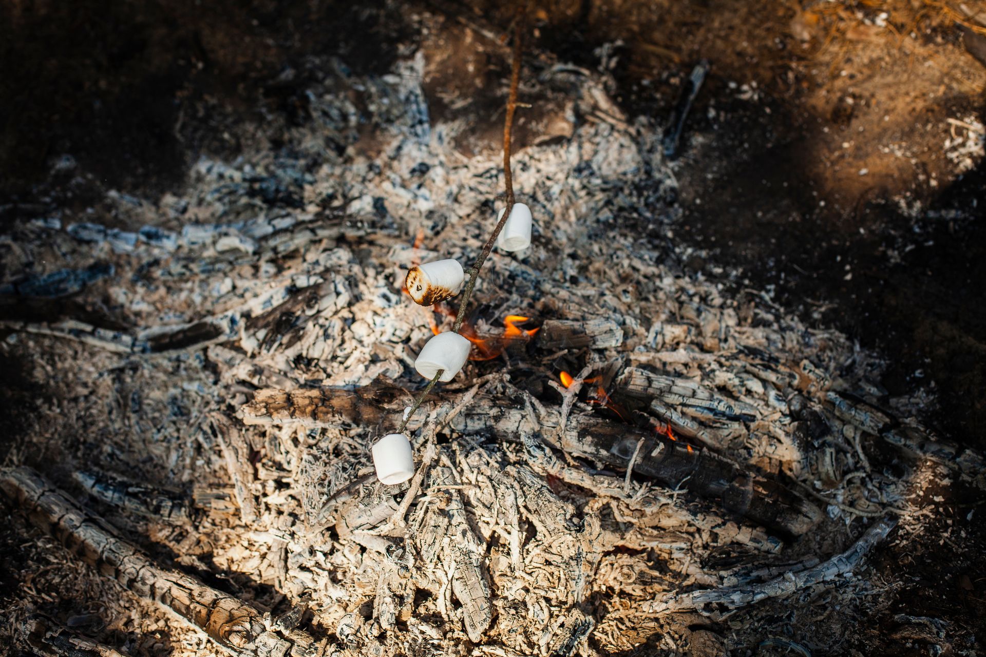 Nettoyage-incendie-Nice