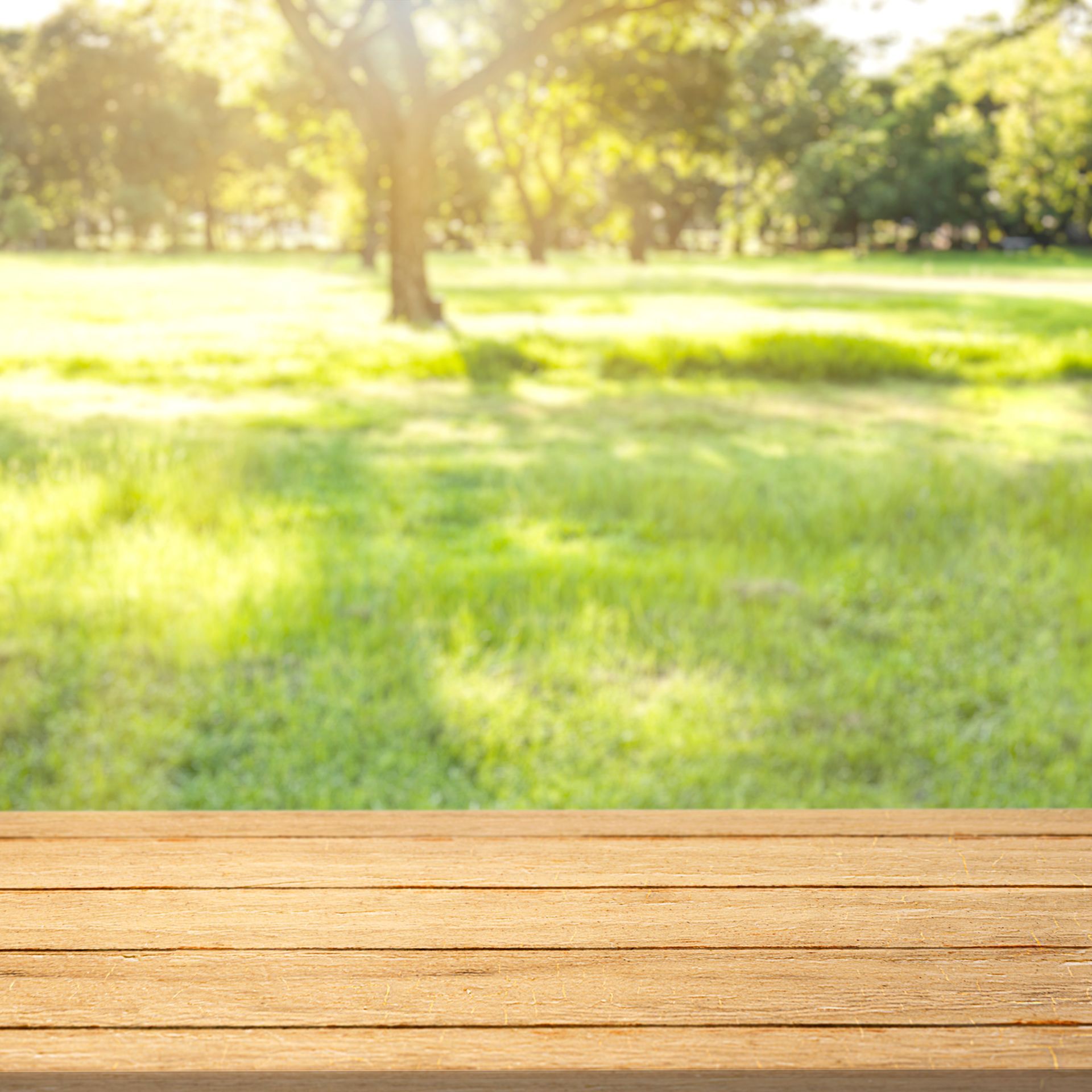 Nettoyage de jardin Avignon