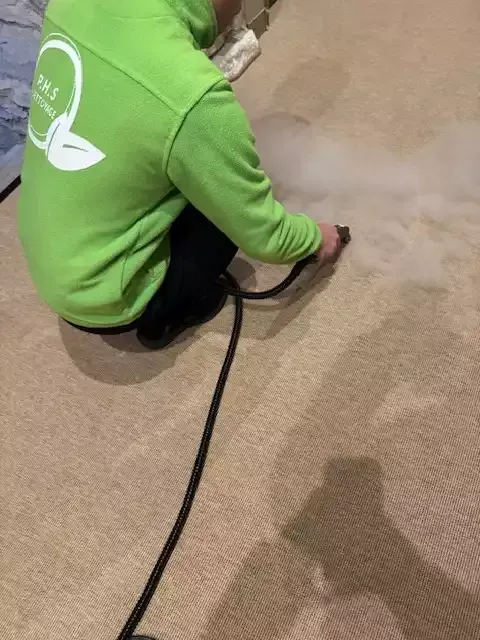 Un professionnel utilise un nettoyeur à vapeur sur un tapis.