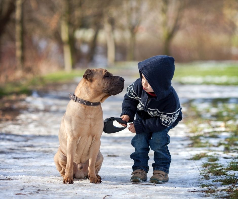 Sich mit Tieren zu unterhalten ist kinderleicht Tierkommunikation von Anfang an