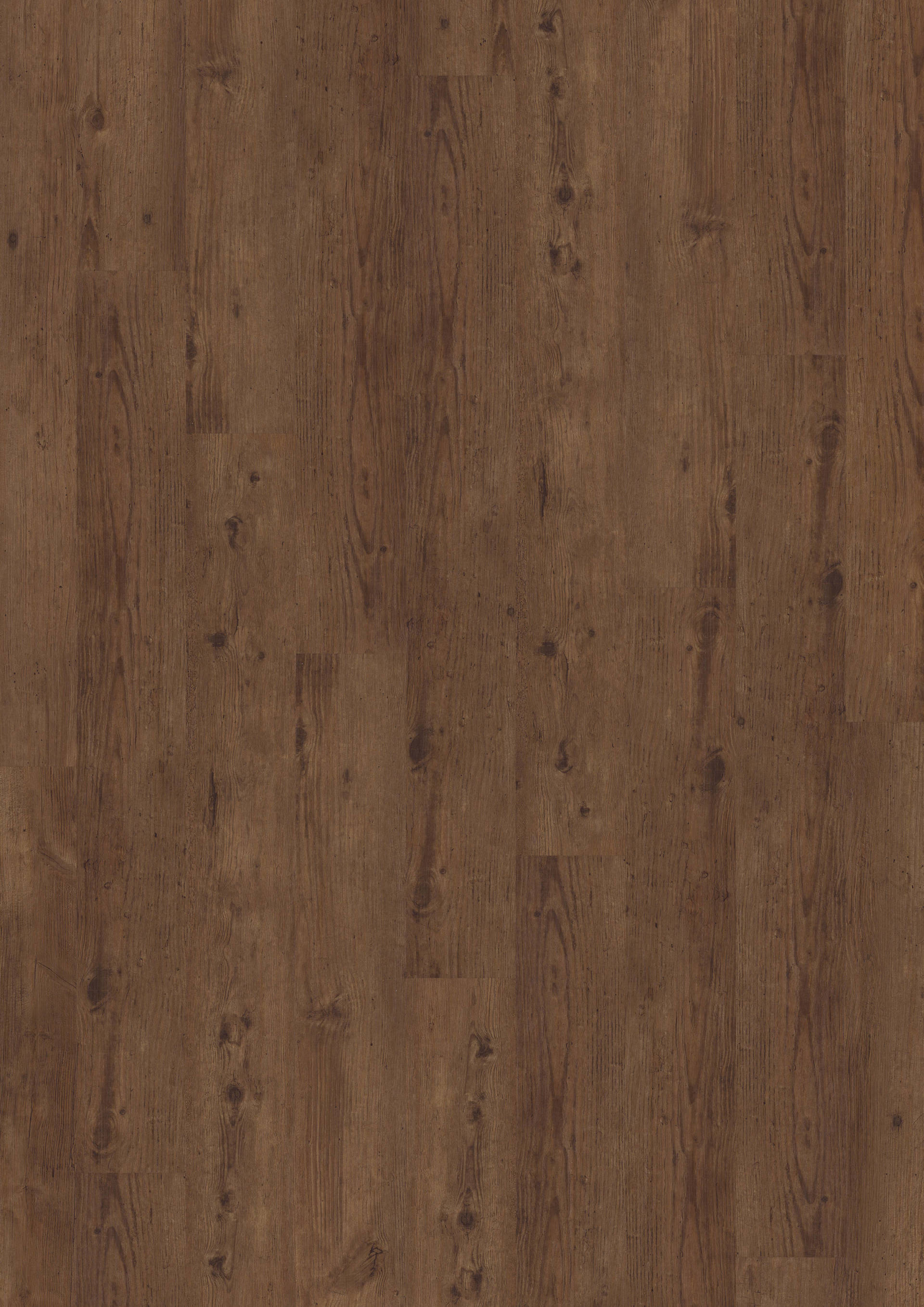 Vinylboden Münster, Designboden Münster, Vinylboden Greven, Vinylboden Telgte, Vinylboden Warendorf, Vinylboden ibbenbüren, Vinylboden Emsdetten, Vinylboden Saerbeck,  Farbe 2814