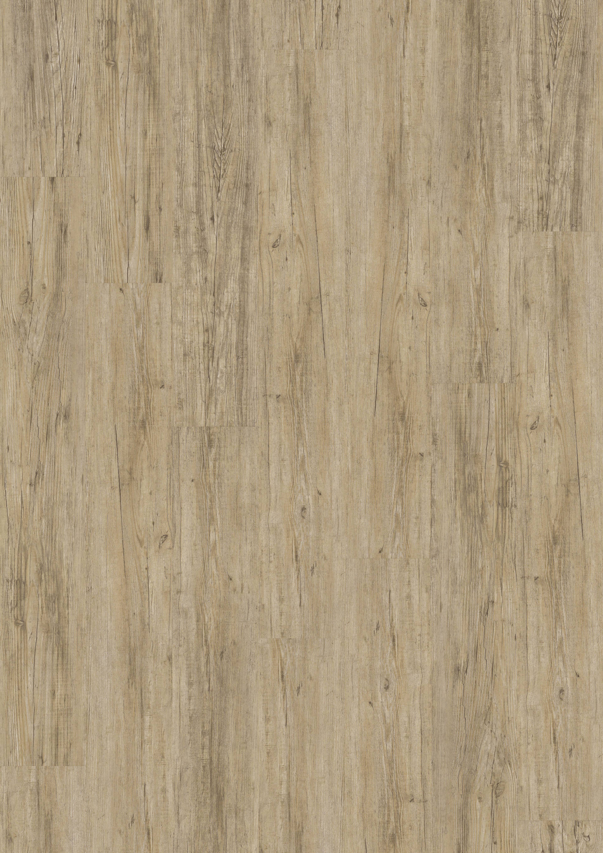 Vinylboden Münster, Designboden Münster, Vinylboden Greven, Vinylboden Telgte, Vinylboden Warendorf, Vinylboden ibbenbüren, Vinylboden Emsdetten, Vinylboden Saerbeck,  Farbe 2825