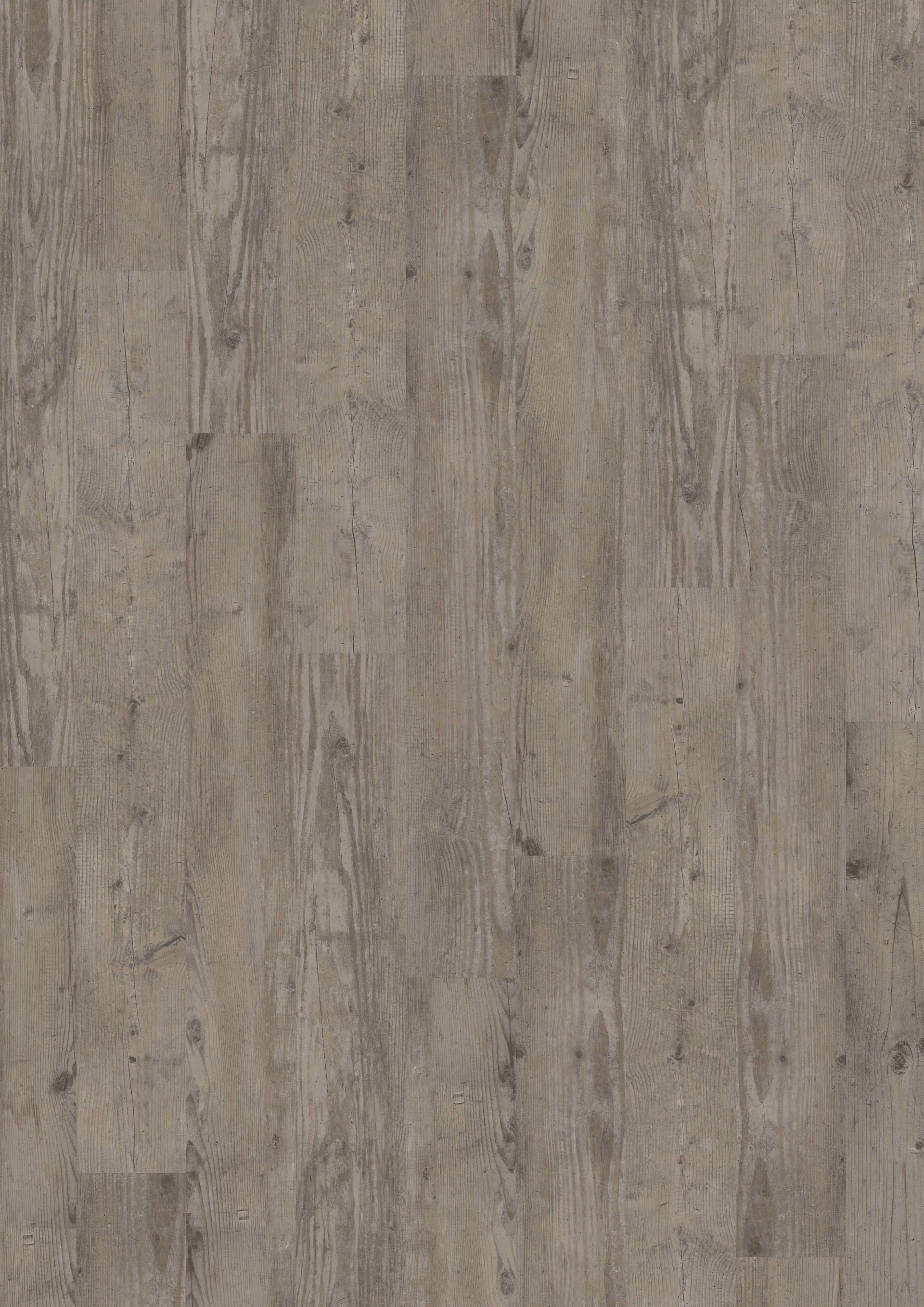 Vinylboden Münster, Designboden Münster, Vinylboden Greven, Vinylboden Telgte, Vinylboden Warendorf, Vinylboden ibbenbüren, Vinylboden Emsdetten, Vinylboden Saerbeck, Farbe 2830