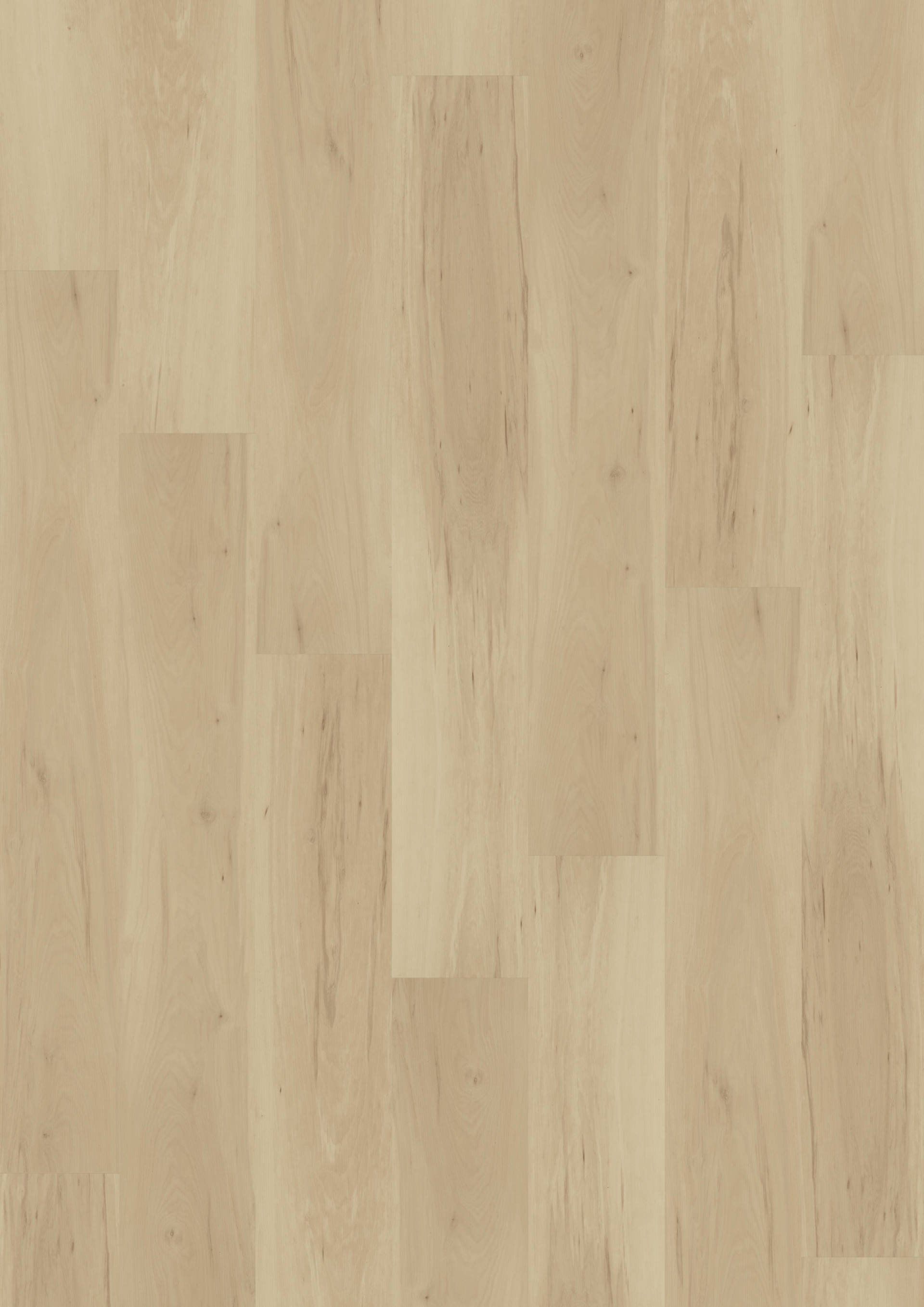 Vinylboden Münster, Designboden Münster, Vinylboden Greven, Vinylboden Telgte, Vinylboden Warendorf, Vinylboden ibbenbüren, Vinylboden Emsdetten, Vinylboden Saerbeck,  Farbe 2852