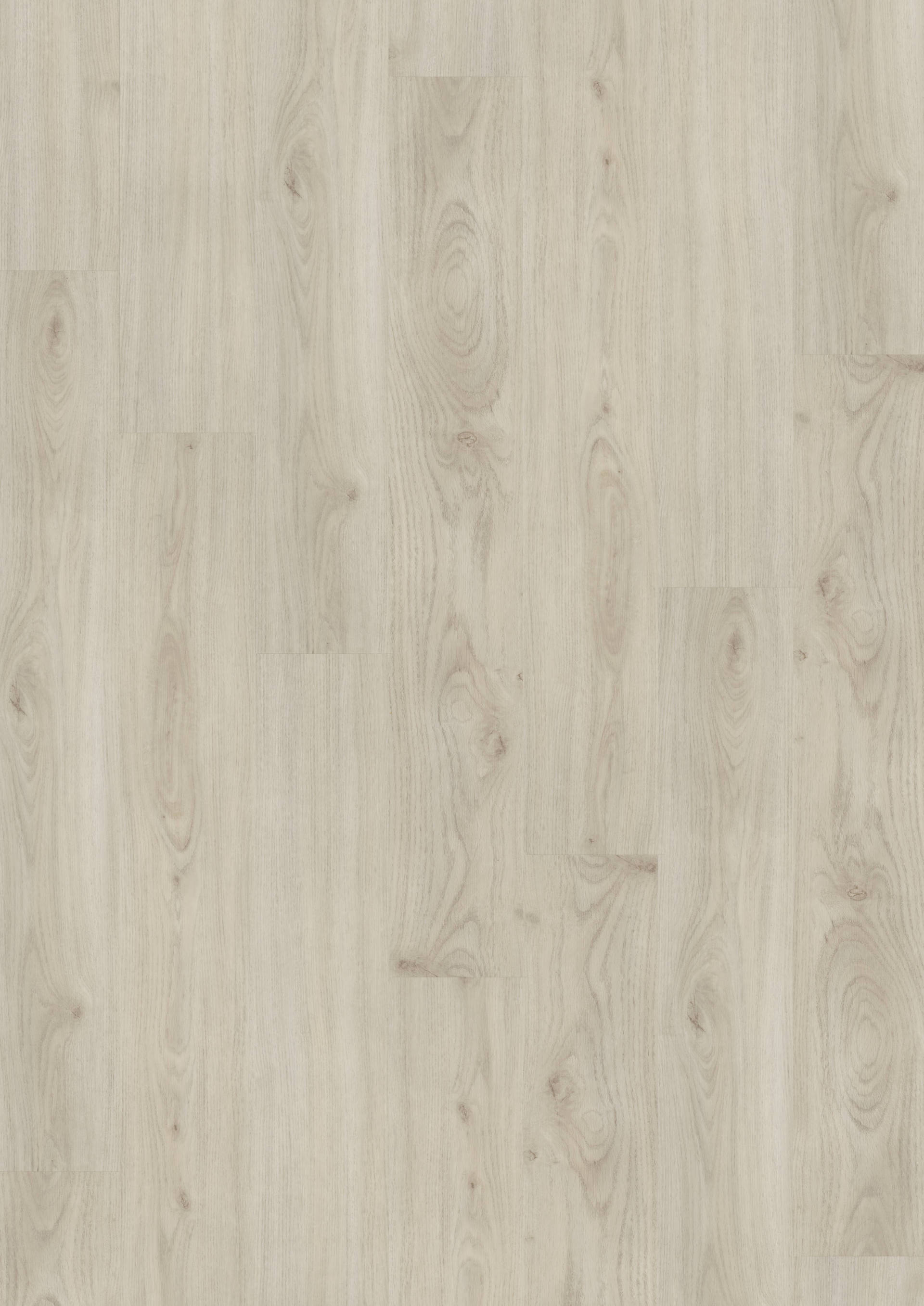 Vinylboden Münster, Designboden Münster, Vinylboden Greven, Vinylboden Telgte, Vinylboden Warendorf, Vinylboden ibbenbüren, Vinylboden Emsdetten, Vinylboden Saerbeck, Farbe 5531