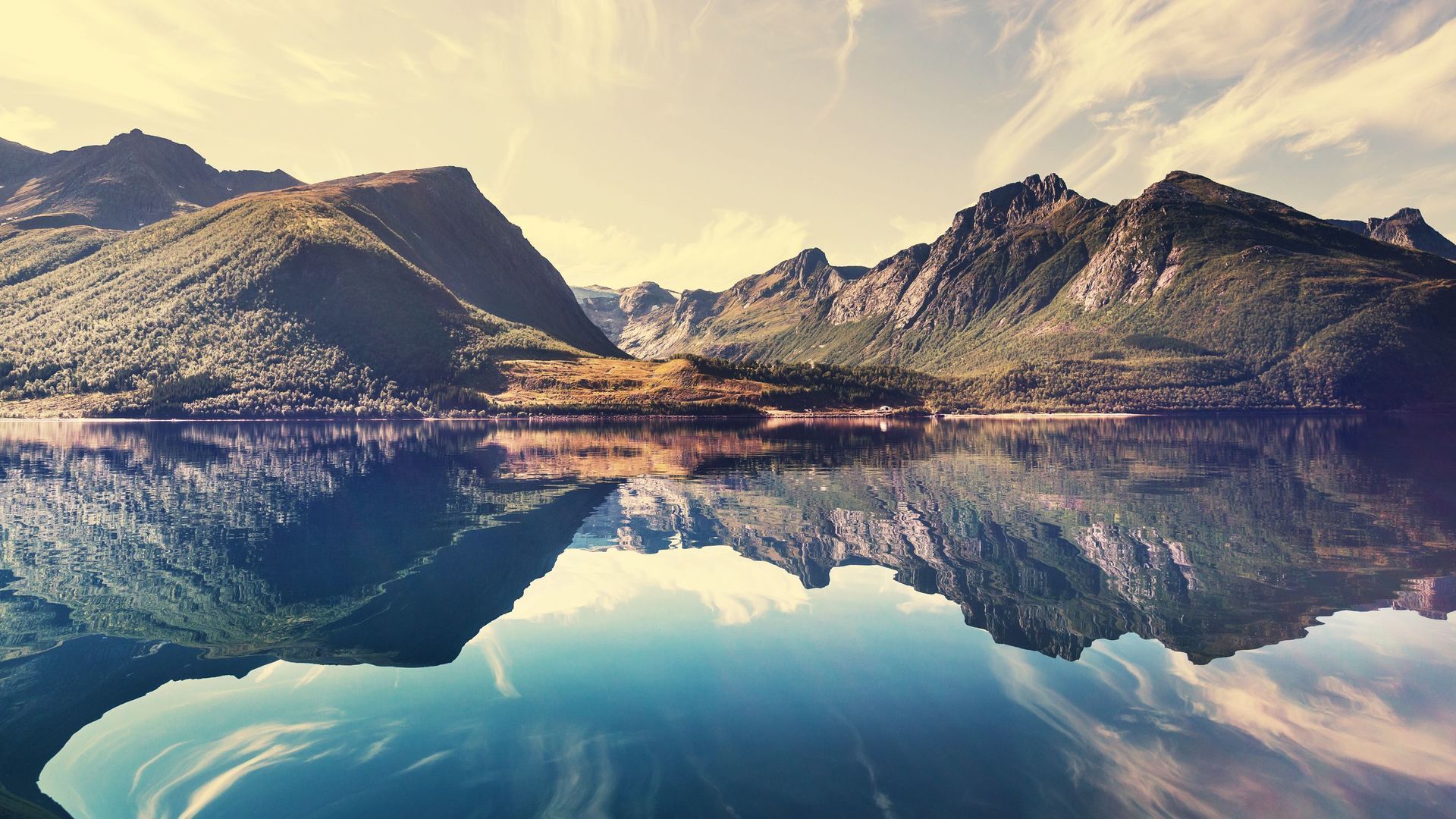 Kraft der Natur Familienaufstellung