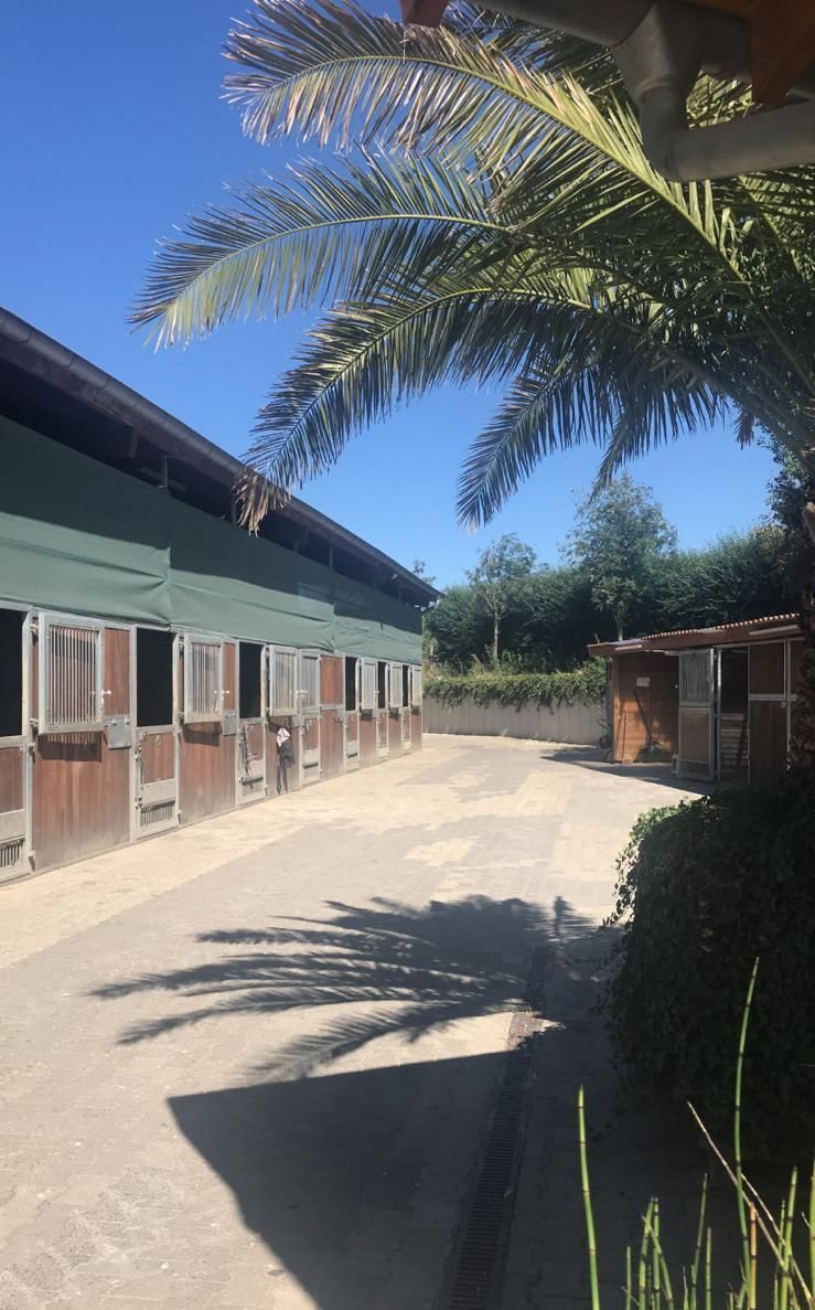 Reitstall / Pferdepension