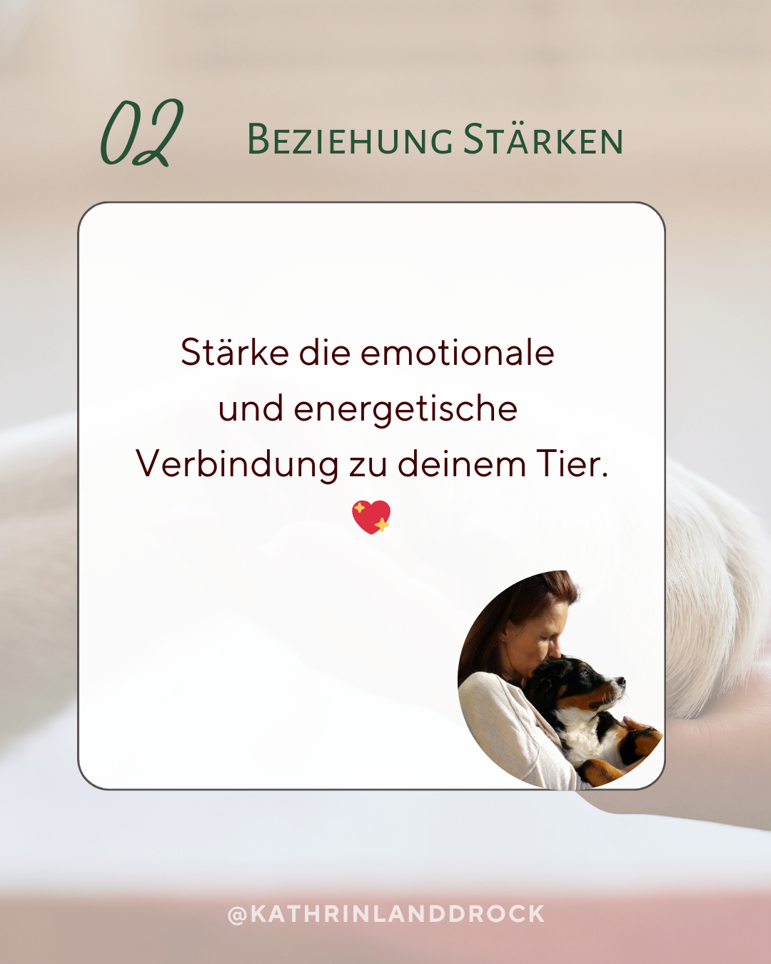 Beziehung stärken – emotionale Verbindung zum Tier vertiefen