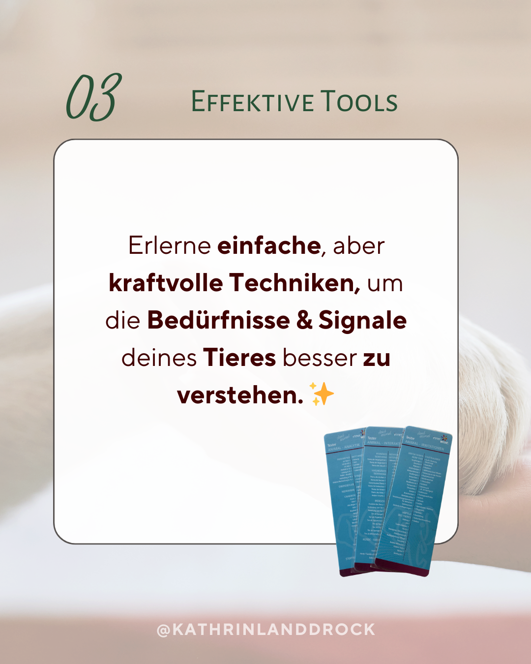Effektive Tools – praktische Methoden zur Tierbegleitung