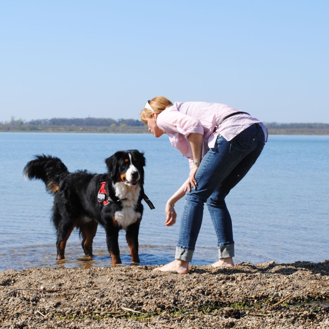 Berner Sennenhund – Tiere als Spiegel und Lehrmeister in der Heilungsarbeit