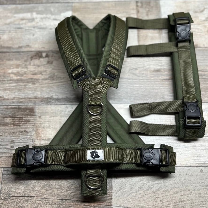 ohne Applikation ohne Applikation