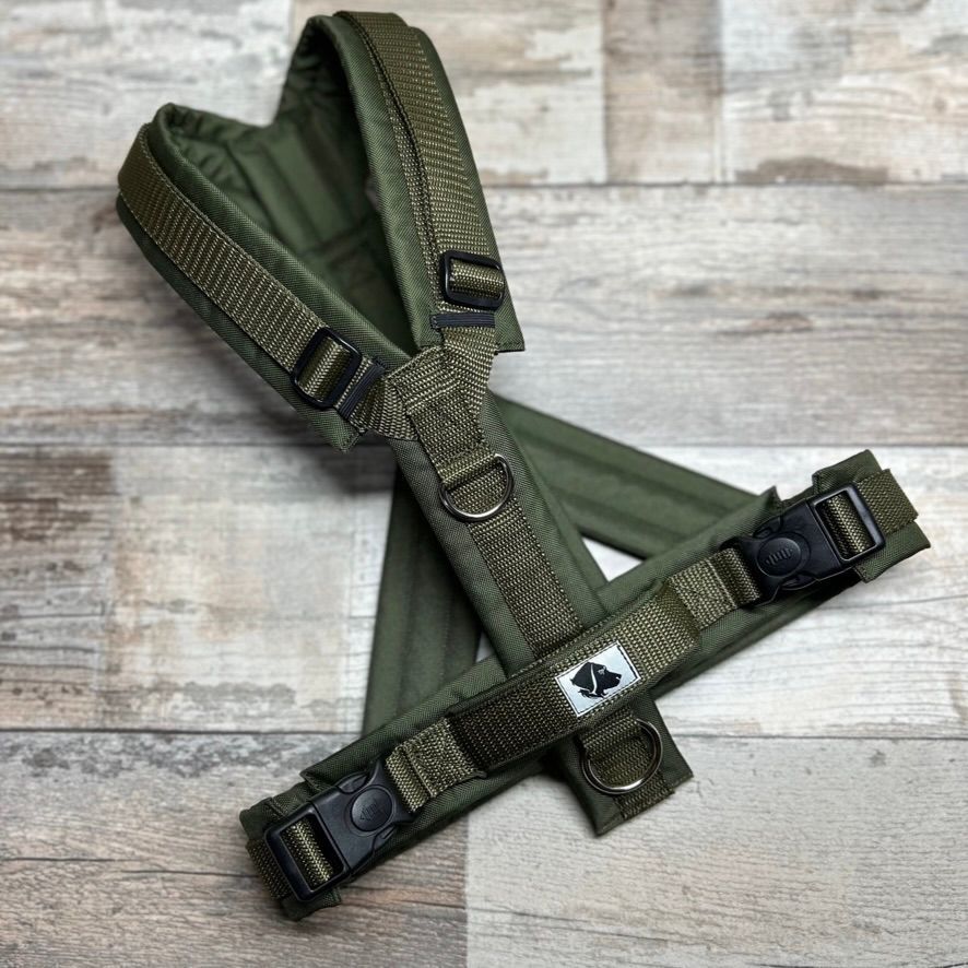 ohne Applikation ohne Applikation