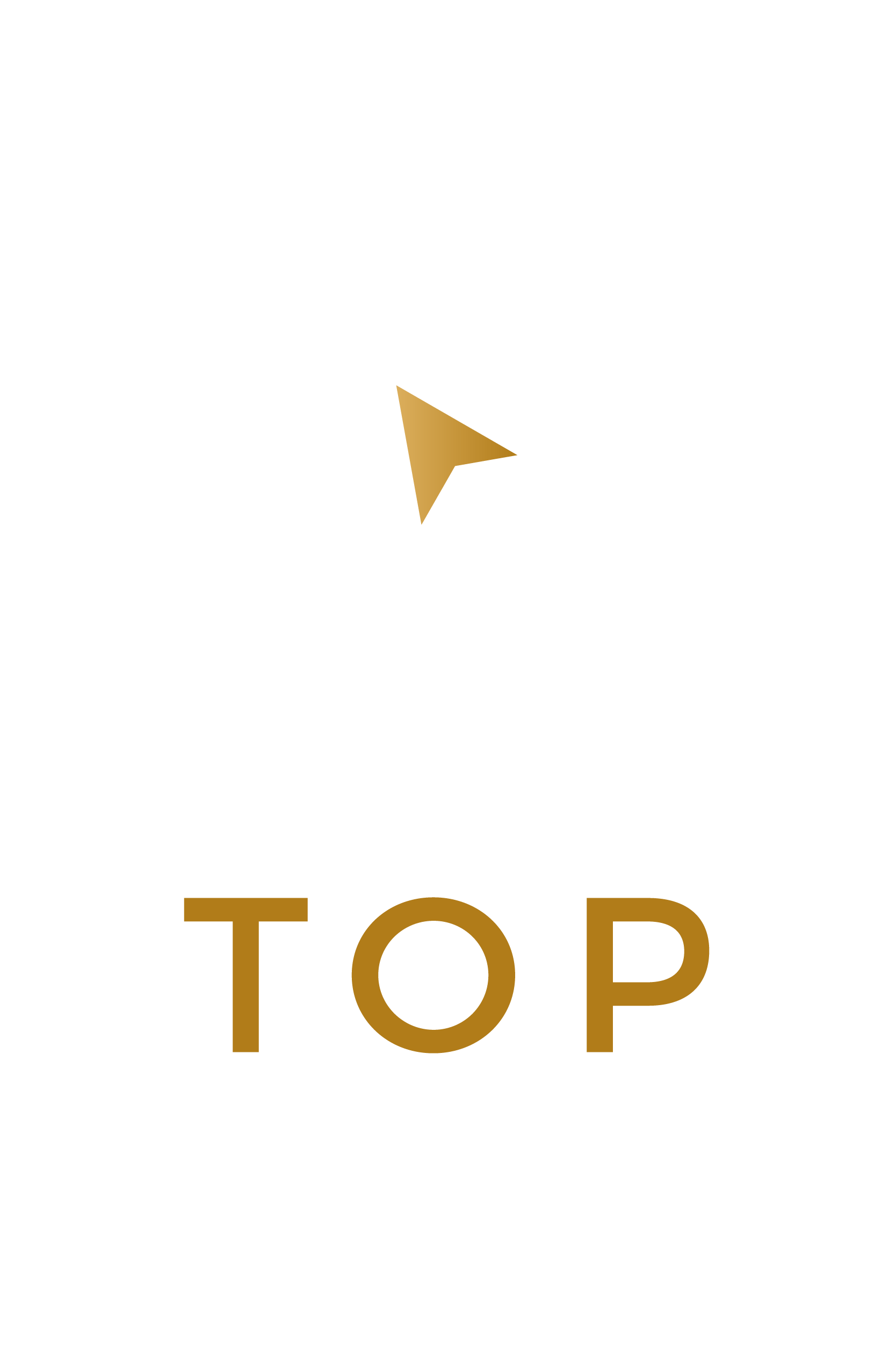 Top-Odyssion-logo
