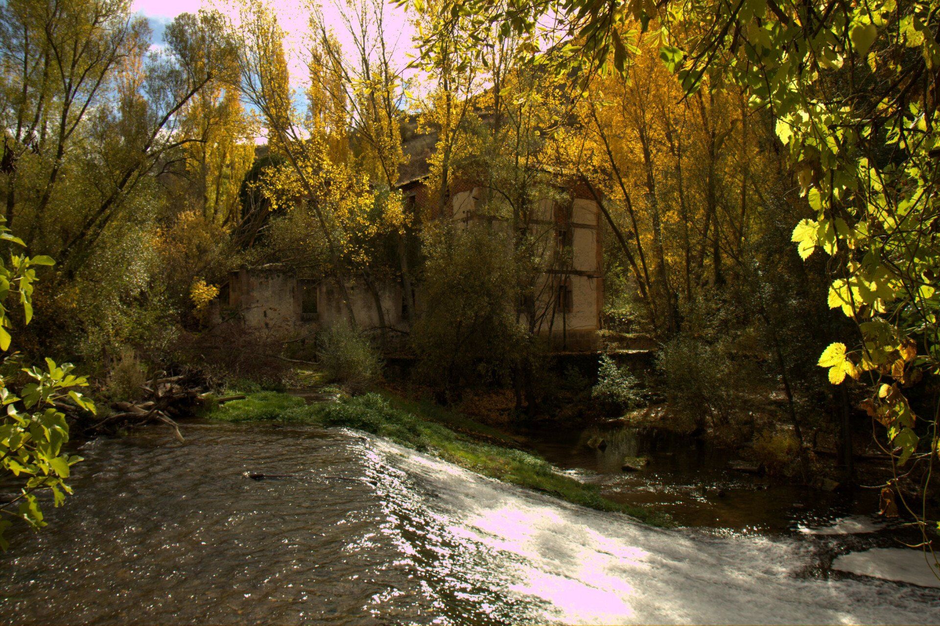Mercado de San Miguel Mercado de San Miguel