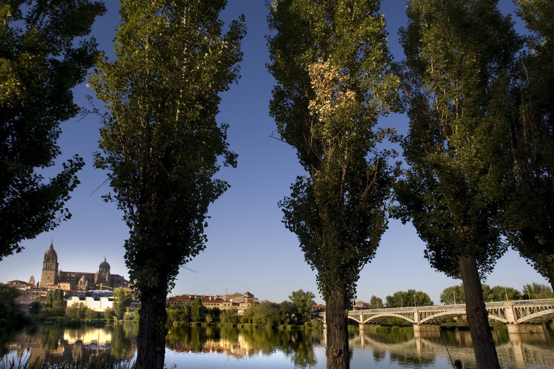 Mercado de San Miguel Mercado de San Miguel