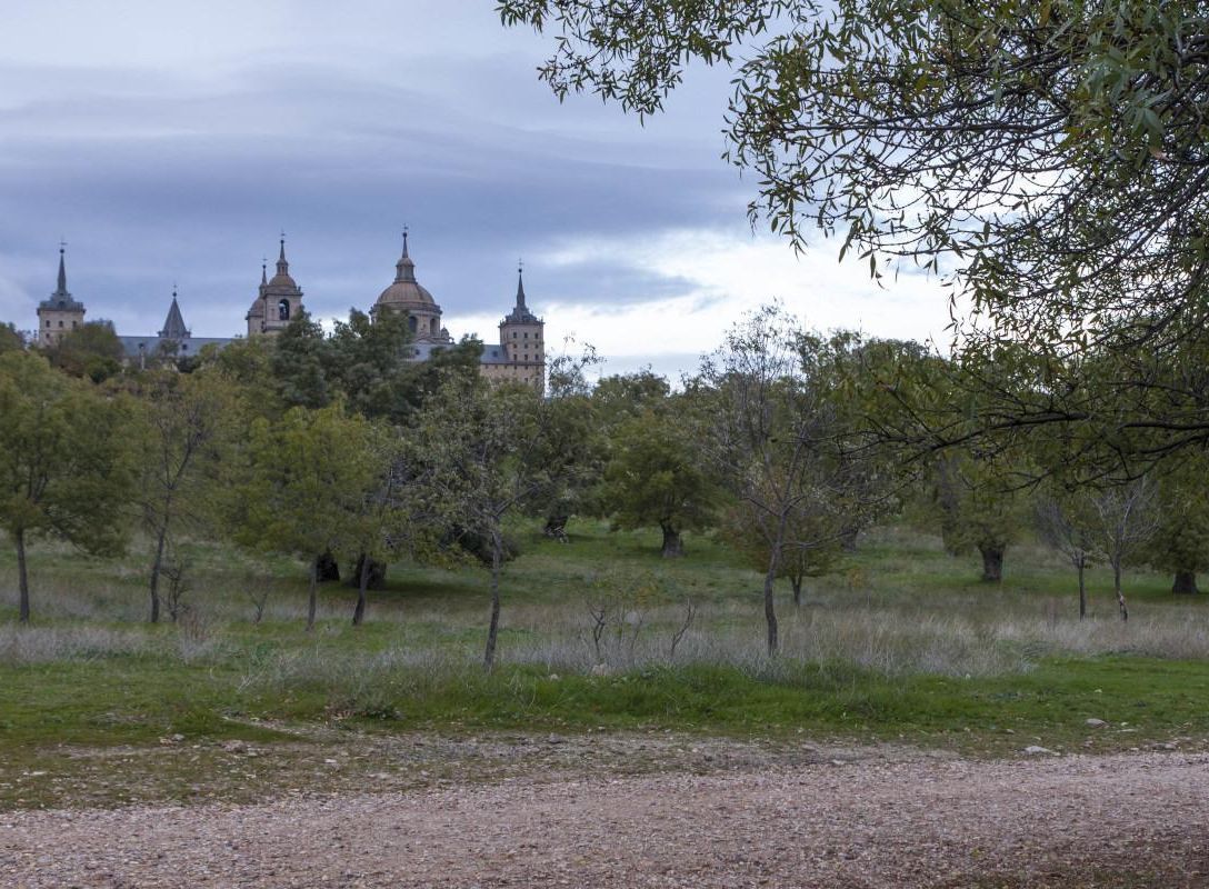 Bosque de la Herrería