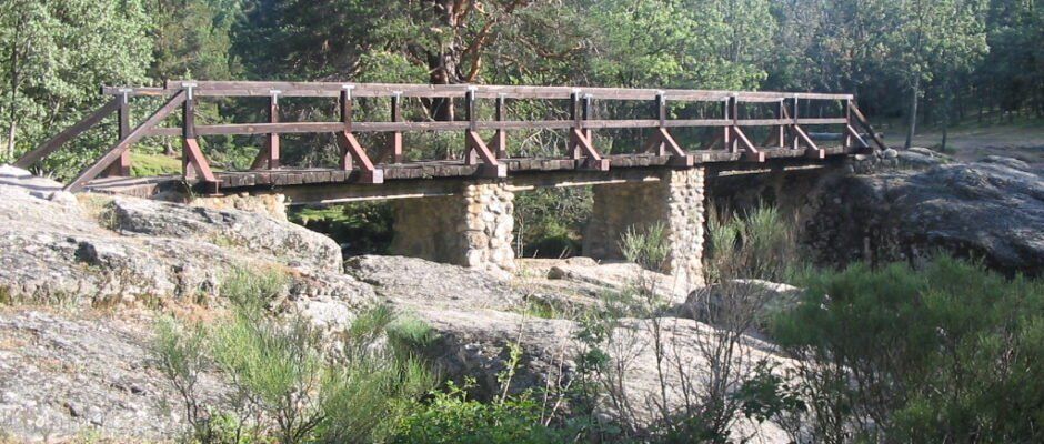 Mercado de San Miguel Mercado de San Miguel