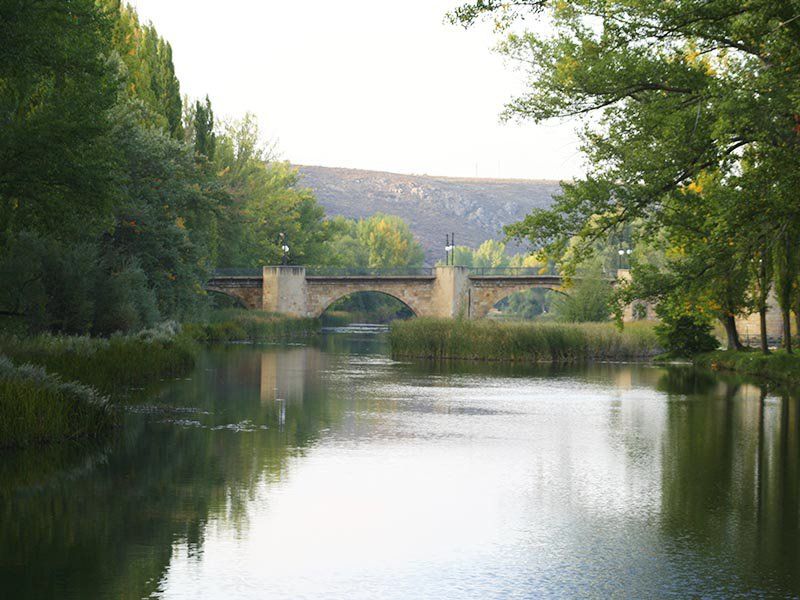 Mercado de San Miguel Mercado de San Miguel