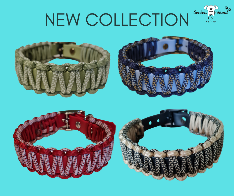 hundehalsbaender mit coraknoten