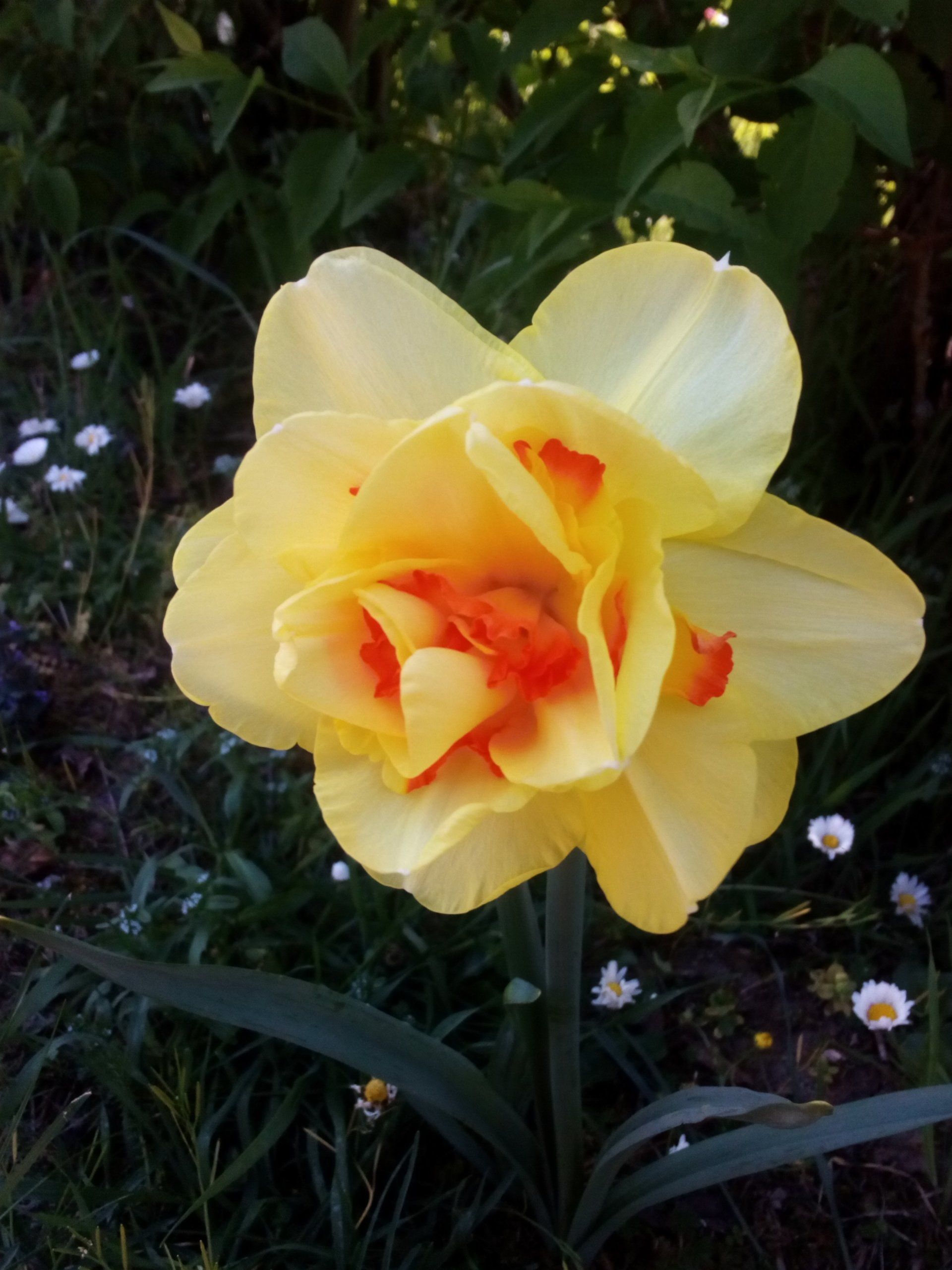 Bulbs4Kids an der Otfried-Preußler-Schule