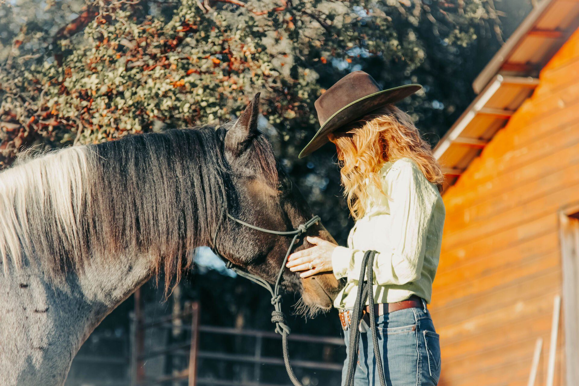 Broken Author Michelle R. Scully