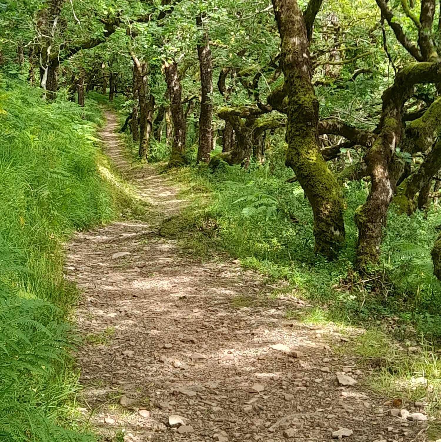 Autumn equinox, autumn, harvest, Great Queen