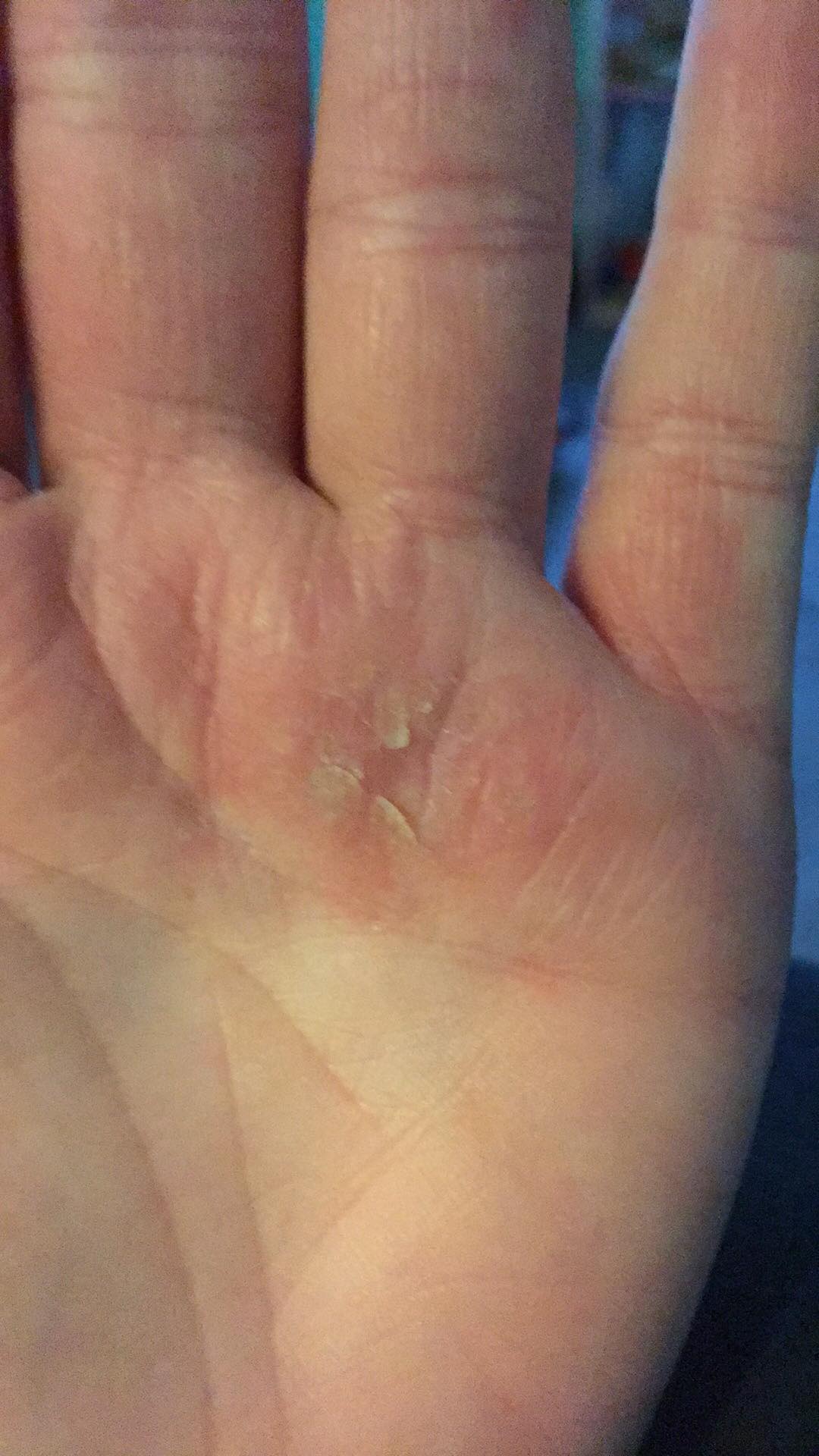 Customer Success Story Image from Beeswax Scotland