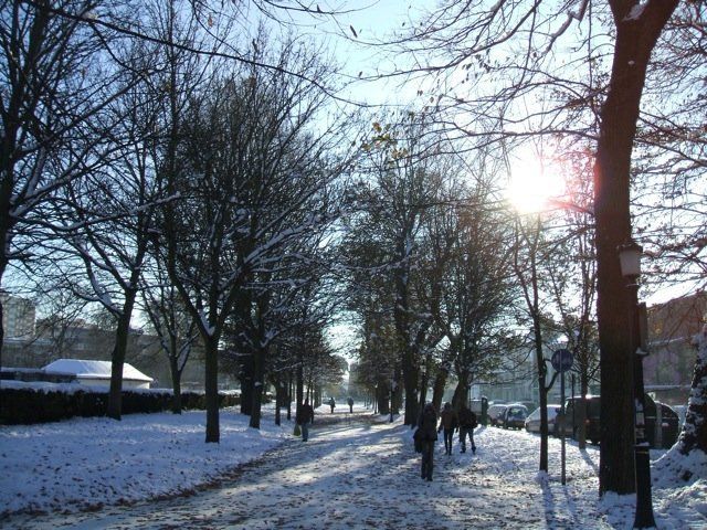Snowy day in Brighton