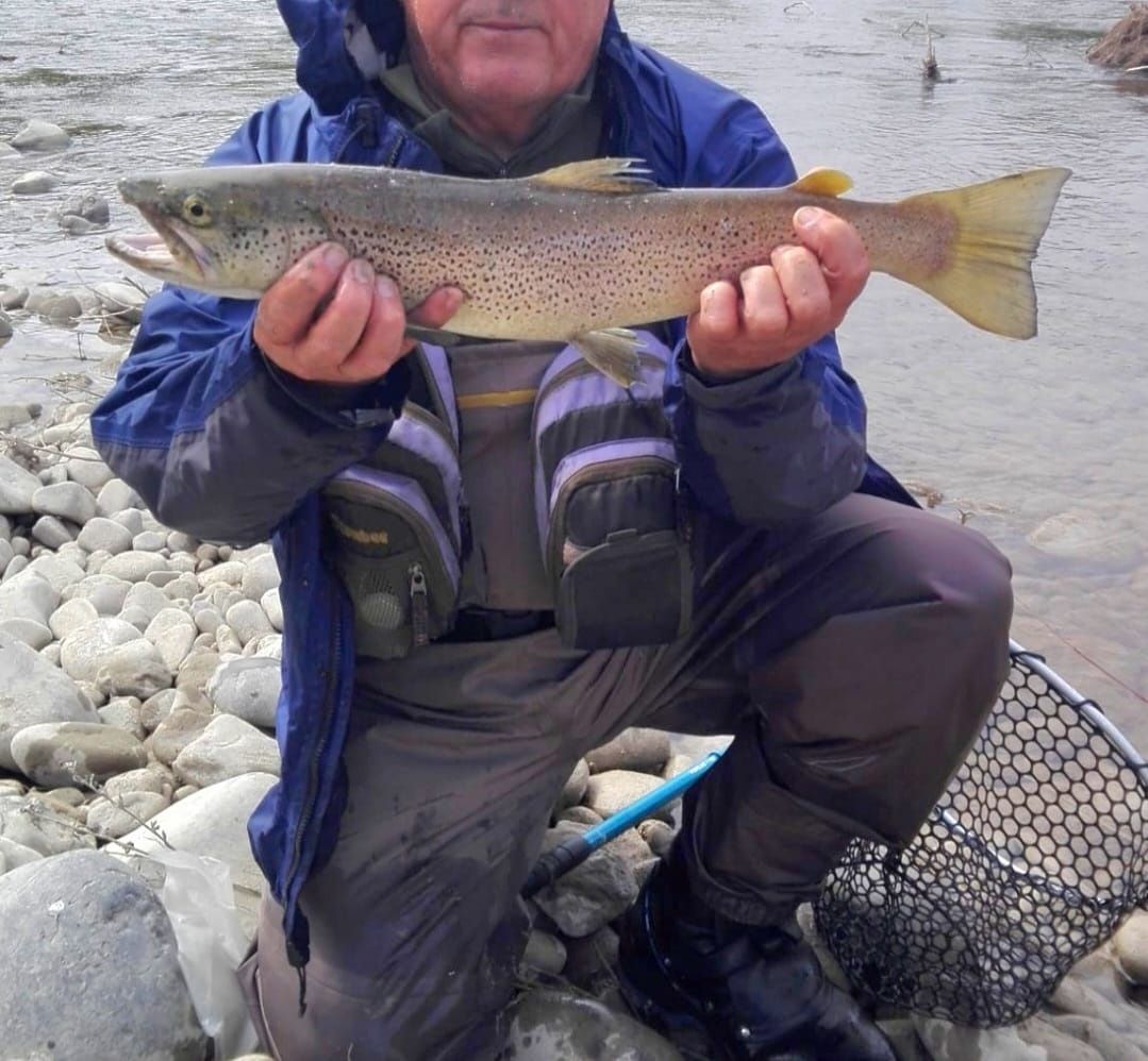 Une grosse du rio Aragon prise en NAF en mai 2024