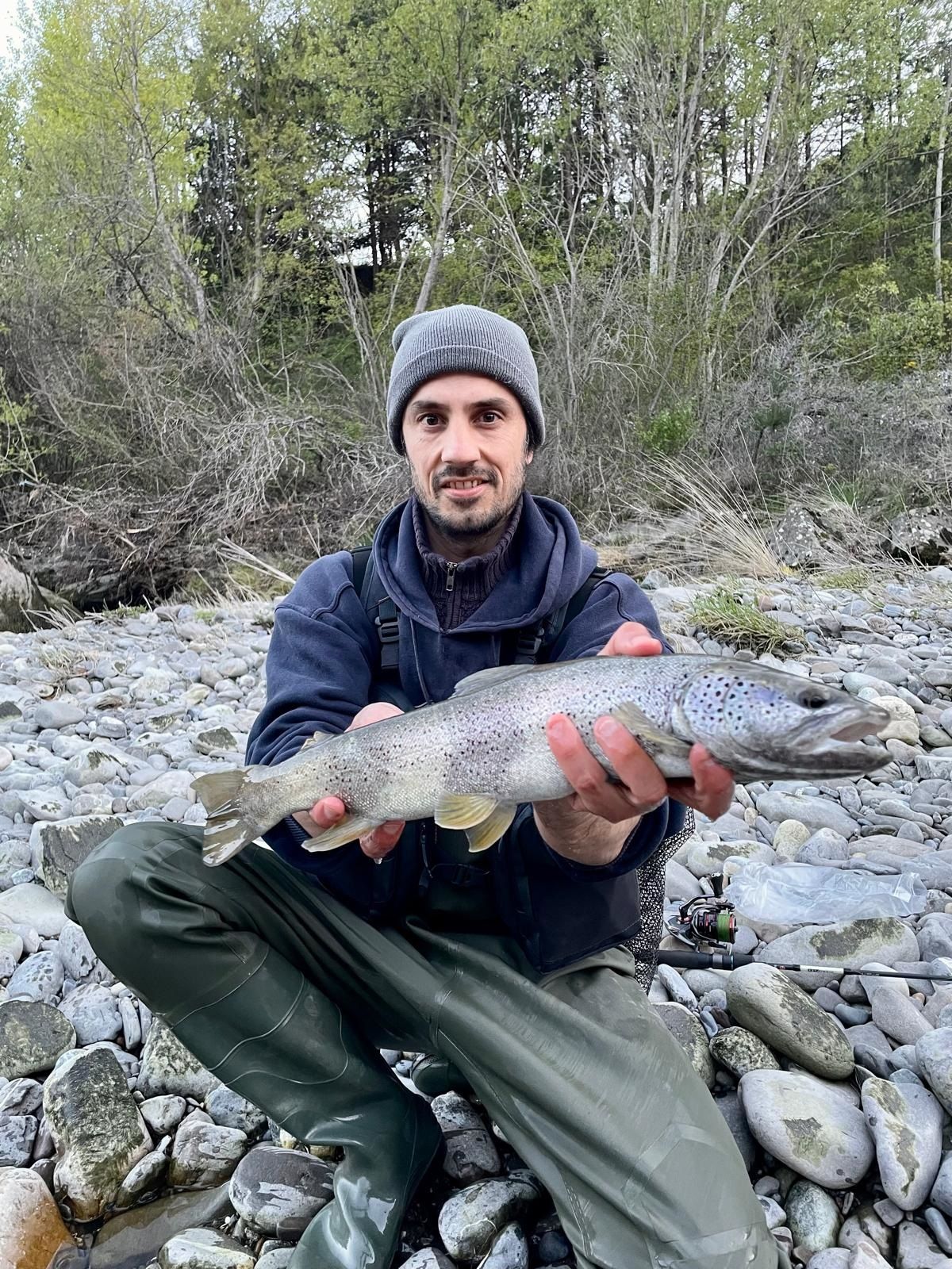 Zébrée du Gallego prise au leurre en mai 2024