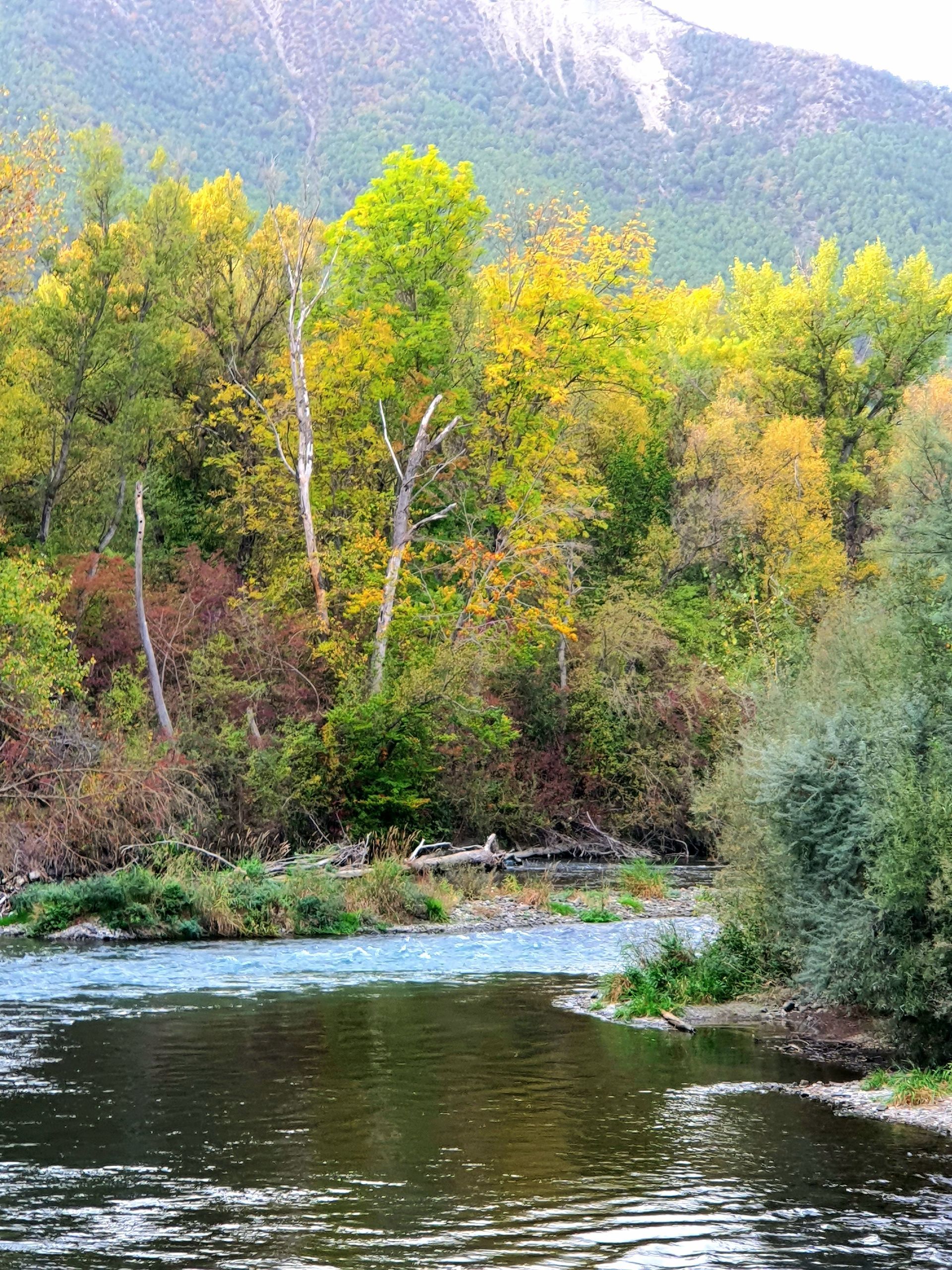 L'automne est la meilleure saison pour la pêche à la mouche sèche en Aragon, au milieu des truites.