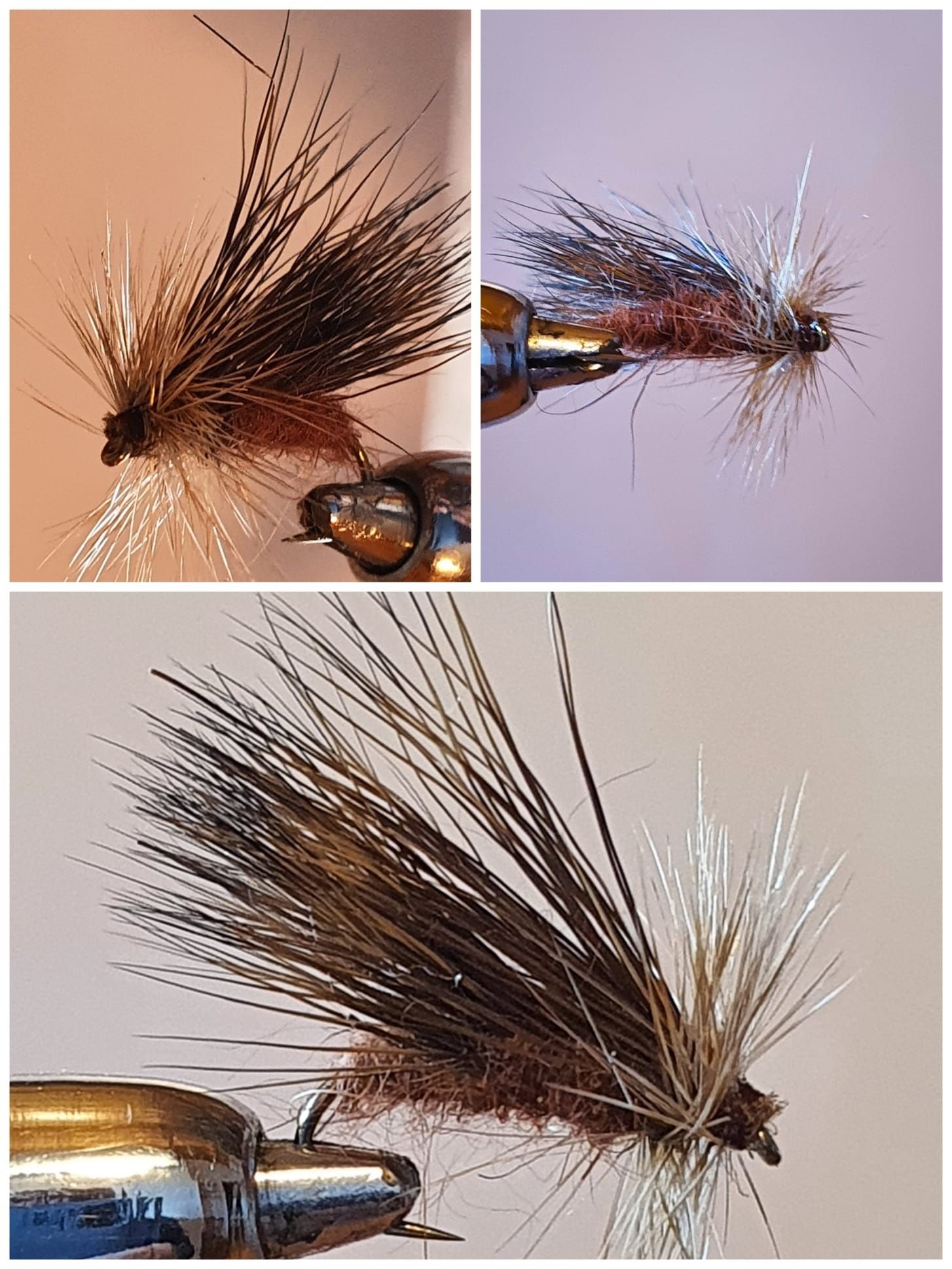 Sedge Roux