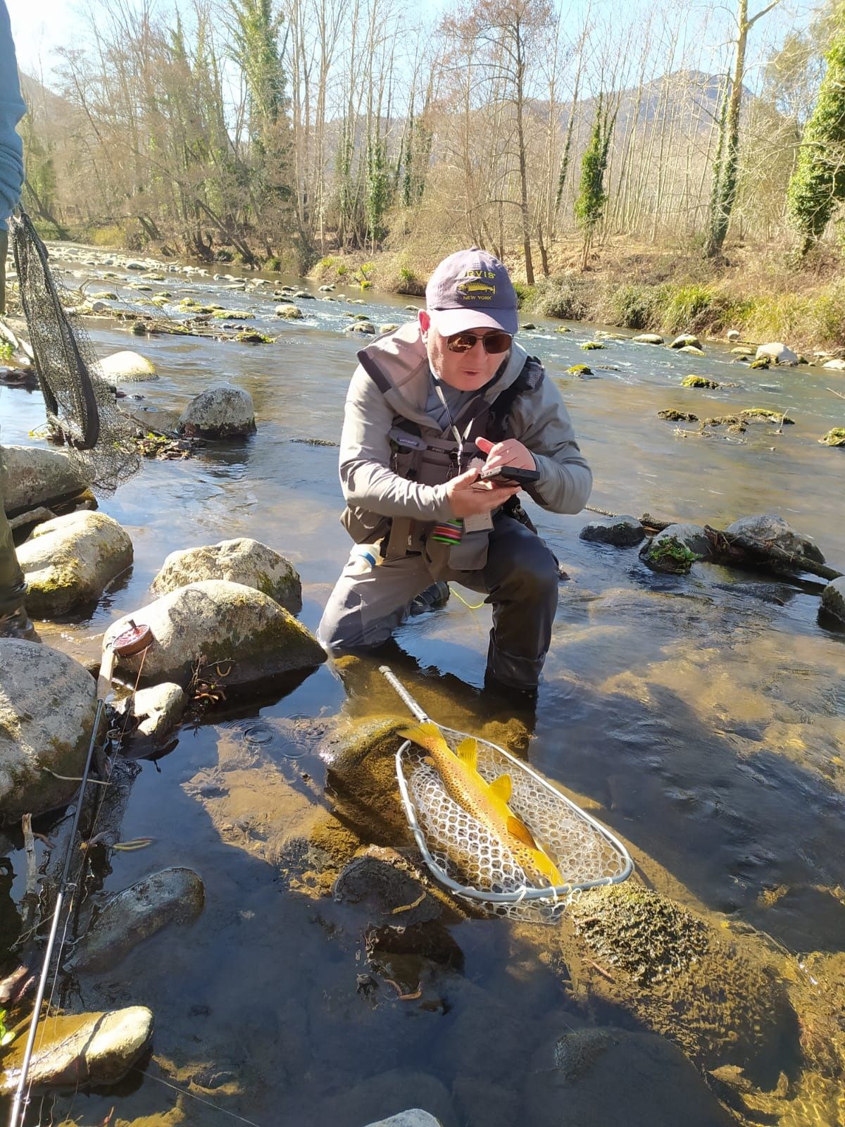 Belle fario du Ter en Catalogne, en sèche, un vrai lingot d'or.