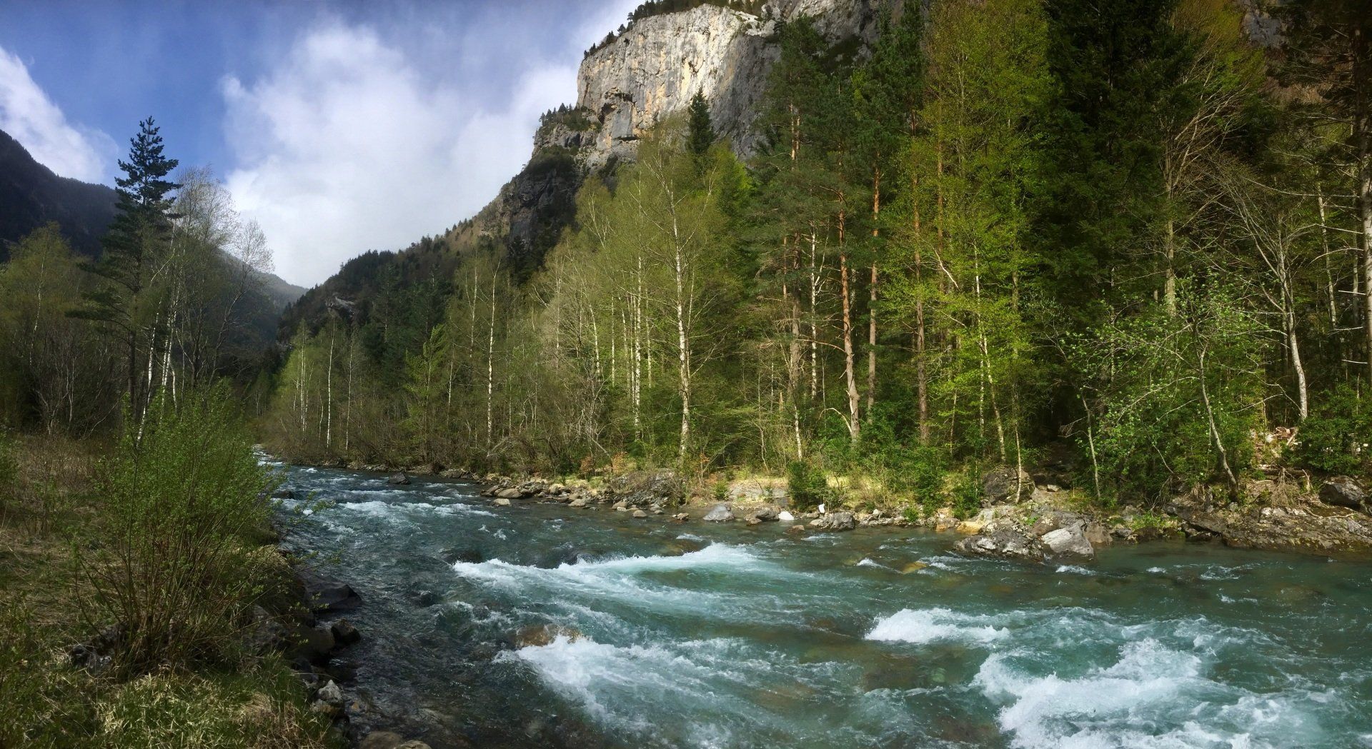 Le Río Ara sur sa partie haute Le Río Ara sur sa partie haute au début du printemps