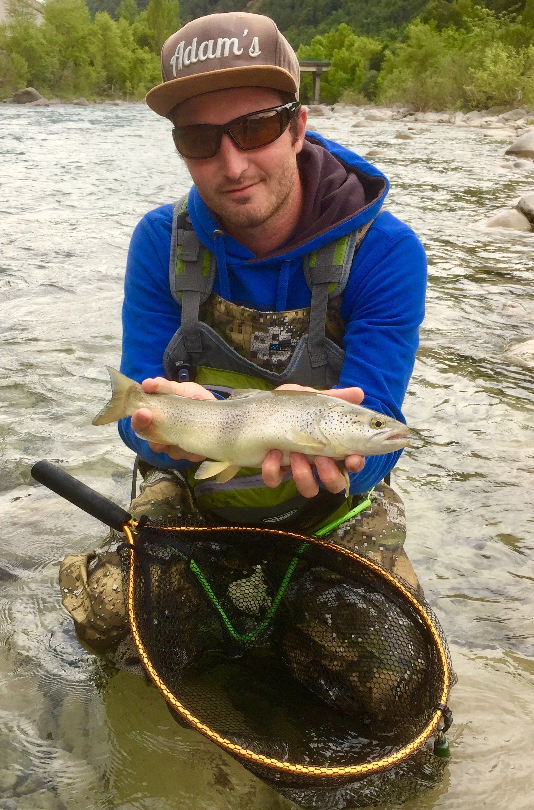 Une fario zébrée déjà conséquente