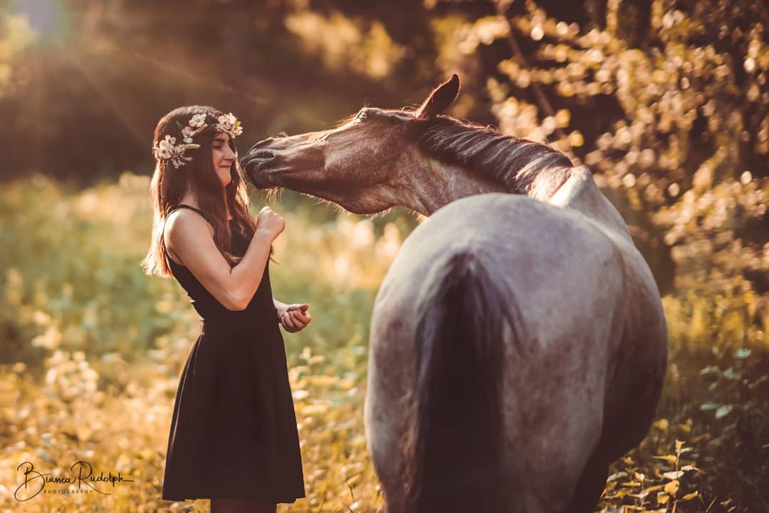 Portrait Sonnenuntergang