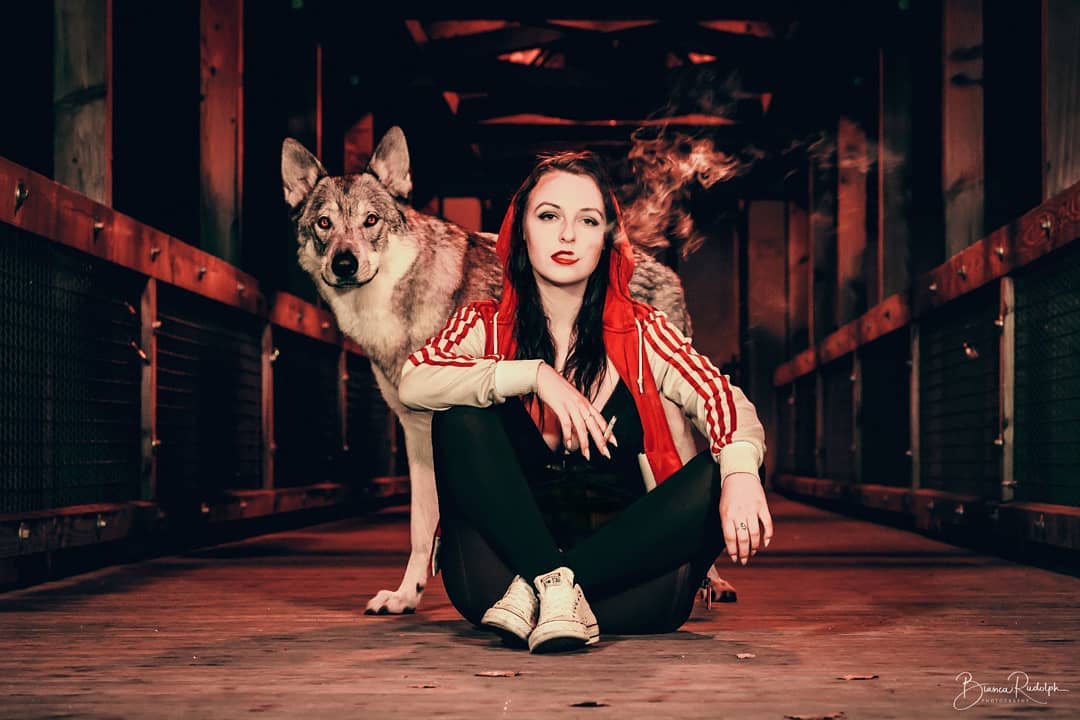 Wolfshund modernes Rotkäppchen