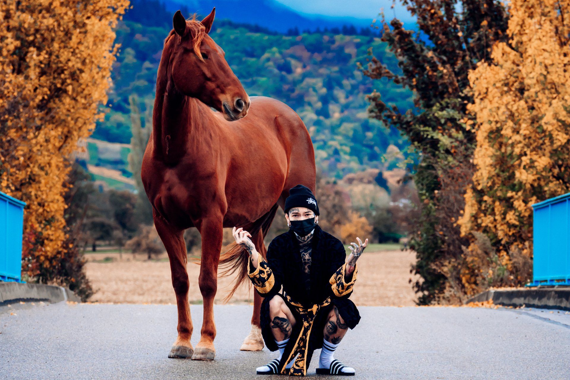 Pferd Herbstshooting