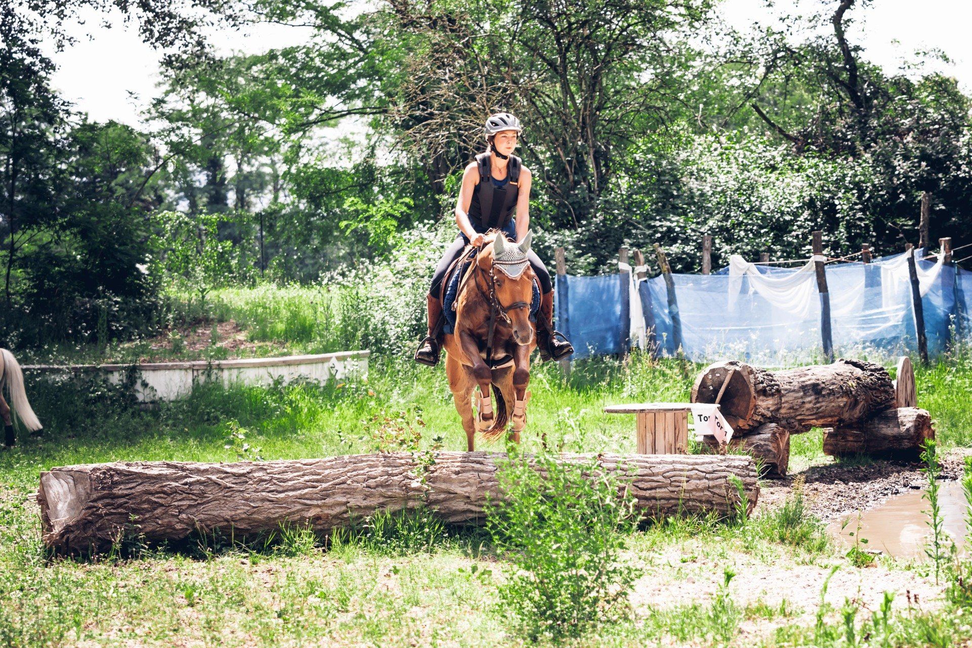 Sprung Vielseitigkeitslehrgang