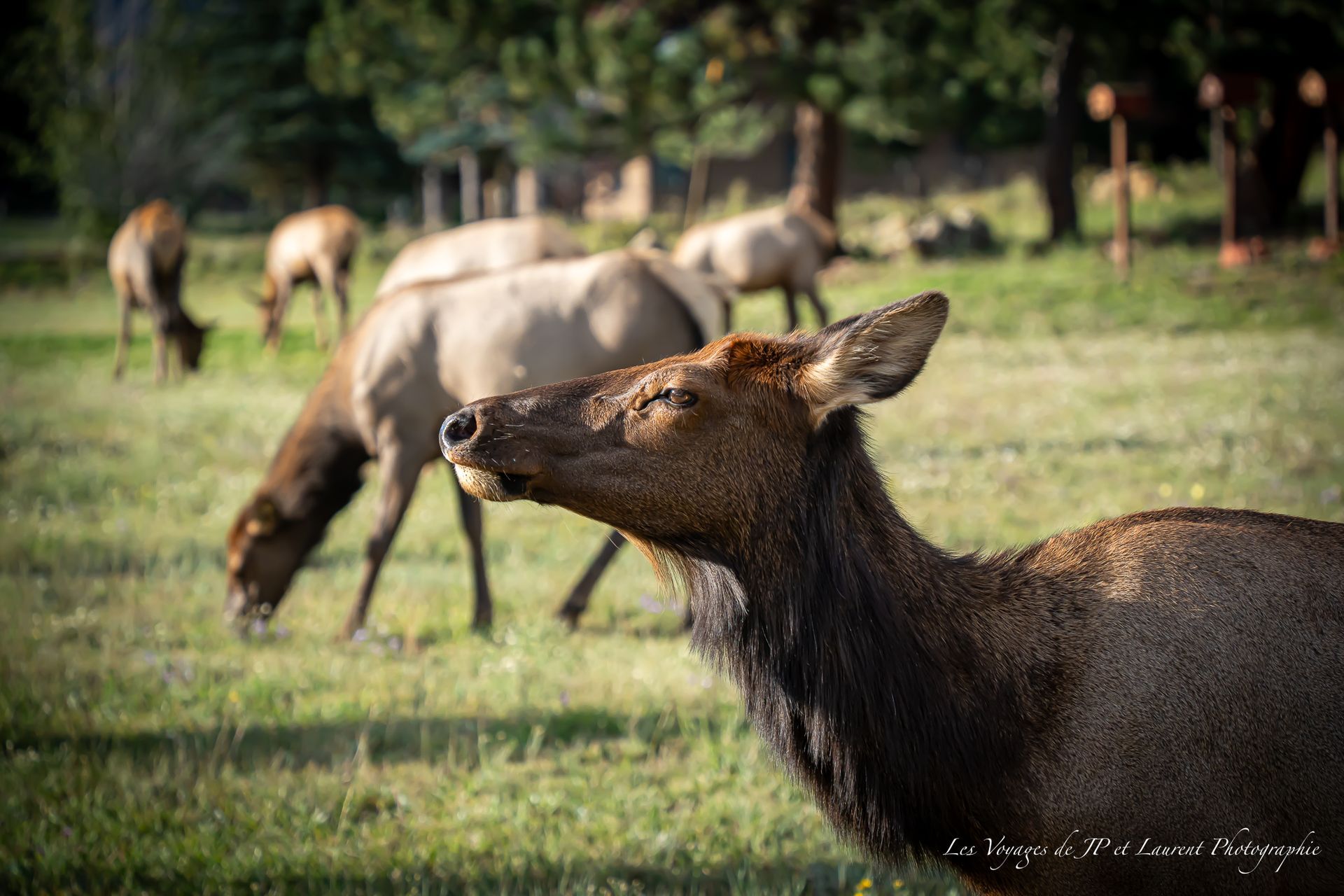 Rocky Mountain National Park Permits 2024