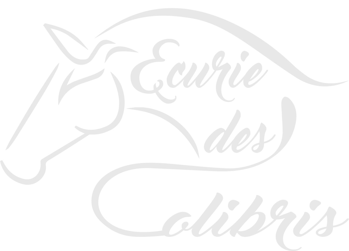 Haras de l'écrin - écurie des colibris Haras de l'écrin - écurie des colibris