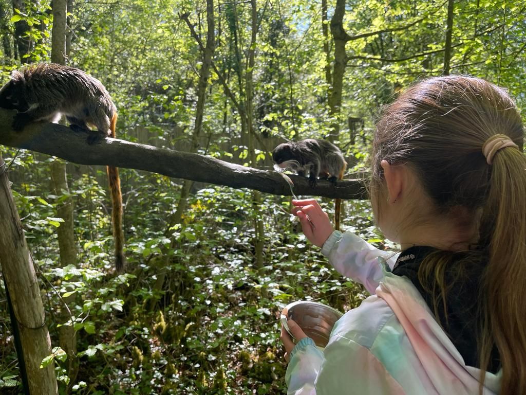 Soigneur d'un jour , Réserve Zoologique de Calviac