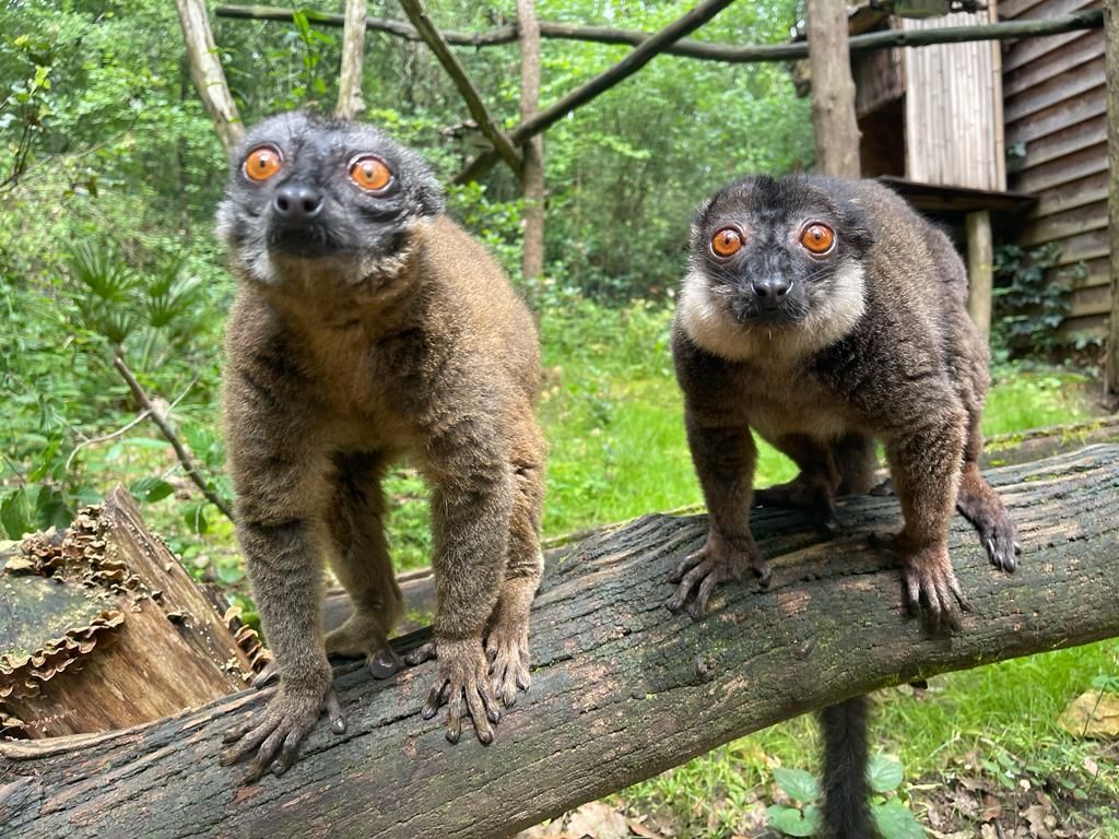 Réserve Zoologique de Calviac