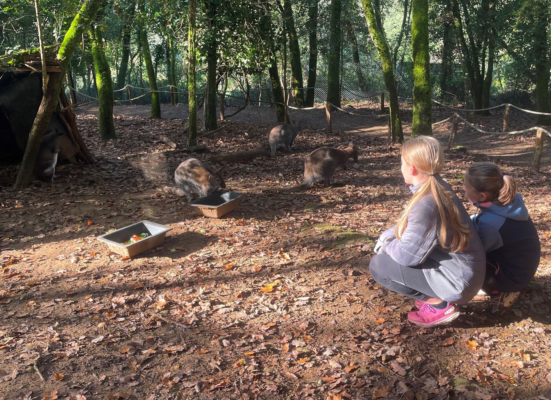 Graines de soigneur, Réserve Zoologique de Calviac